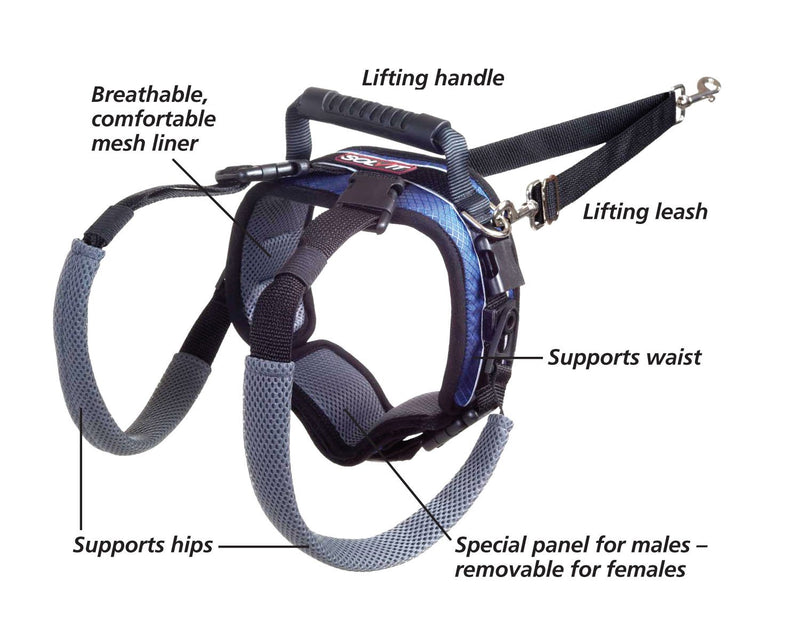 [Australia] - PetSafe Solvit CareLift Lifting Aid Harness for Dogs - Rear Only - Small, Medium, Large 