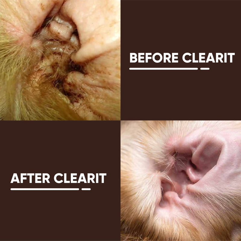 Clearit Traditional Ear Powder Fast Acting Super Effective 20g Same Day Dispatch For Itchy Waxy Smelly Ears 2 X 20G - PawsPlanet Australia