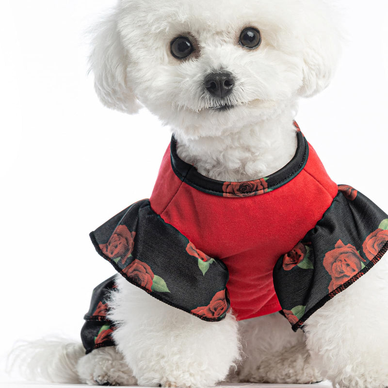 EXPAWLORER Valentines Day Dog Dresses for Small Dogs and Puppies, Girl Dog Dress Shirt Happy Valentines Day, Holiday Party Clothes Warm Cotton Skirt - PawsPlanet Australia