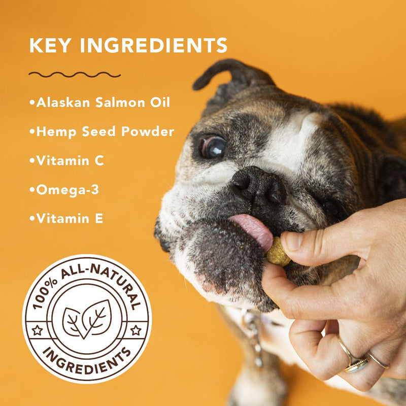 Natural Dog Company - Skin & Coat Omega Supplement | Supports Healthy Shiny Coats, Relieves Dry, Itchy Skin | Salmon & Pea Flavor - 90 Chews - PawsPlanet Australia