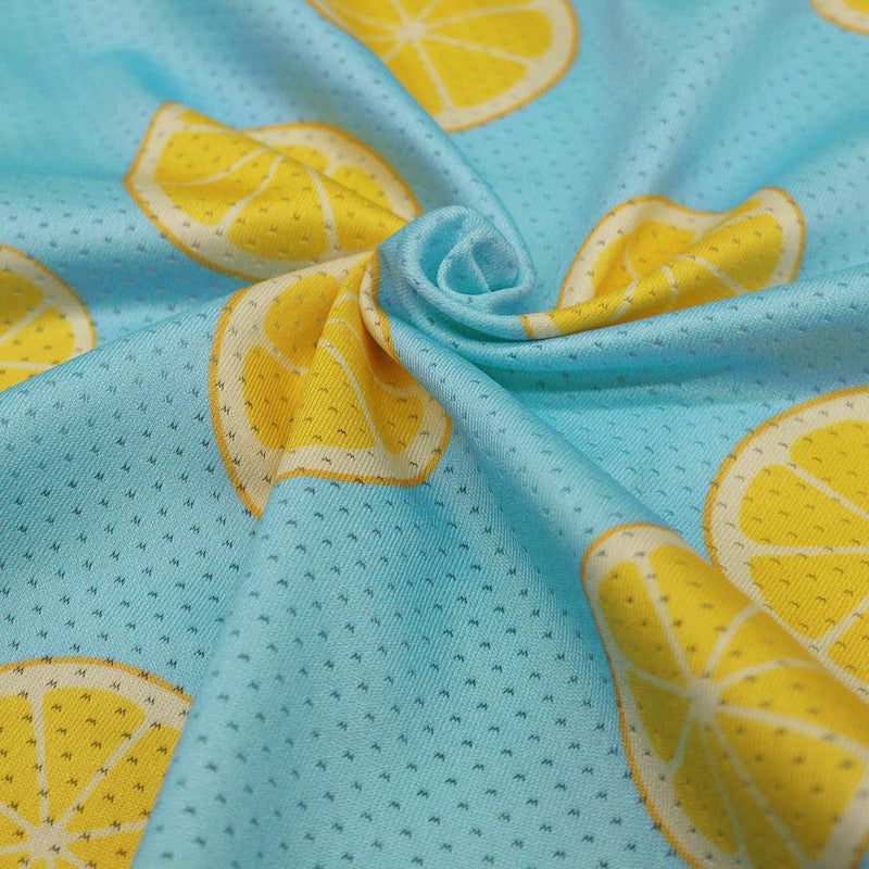 [Australia] - Fitwarm Lemon Summer Dog Dress Puppy Clothes Doggie Sundress Pet Vest Cat Apparel Water Blue S 