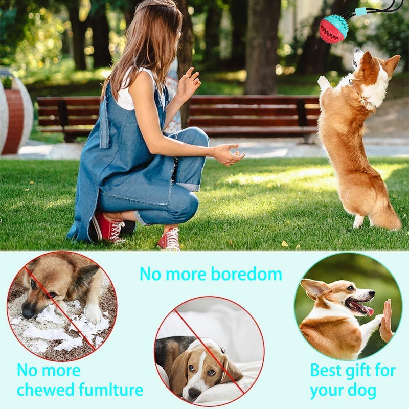 [Australia] - WOSTEE Dog Chew Toys for Aggressive Chewers, Suction Cup Dog Chewing Toy, Dog Rope Ball Toys with Suction Cup for Small Large Dogs, Puppy Dog Teeth Cleaning Interactive Pet Tug Toy for Boredom 