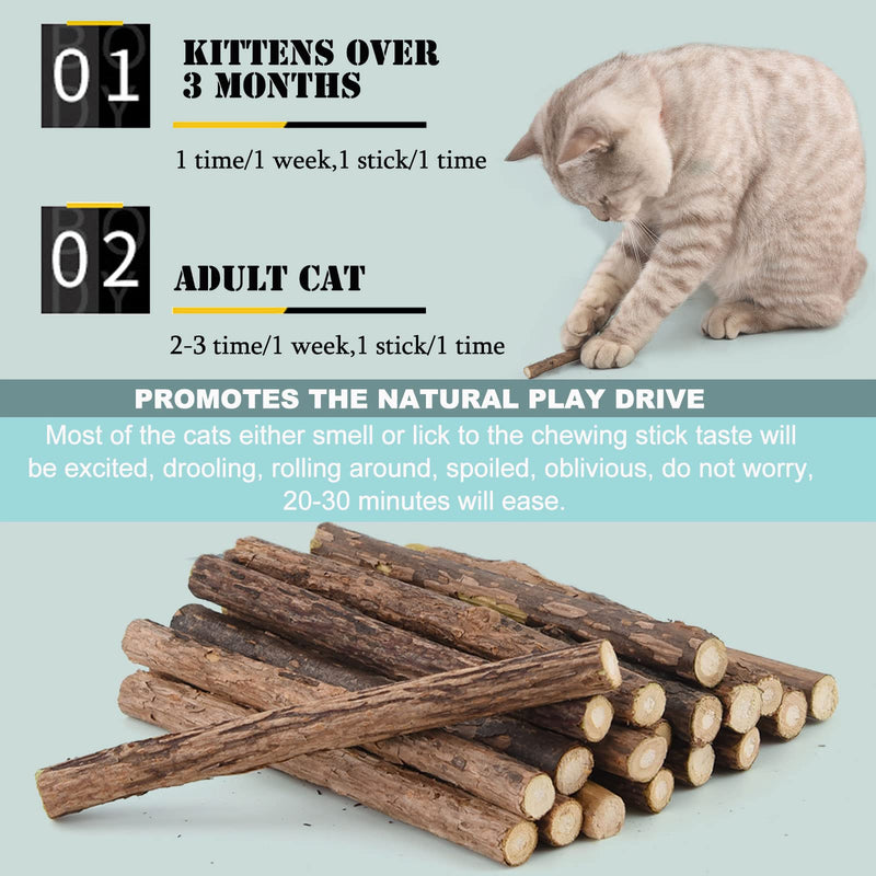 onebarleycorn Catnip Sticks for Cats, Matatabi Stick Cat Sticks Toy Matabi Cat Sticks Cat Toys for Dental Care, Pack of 20 (Pack of 1) - PawsPlanet Australia