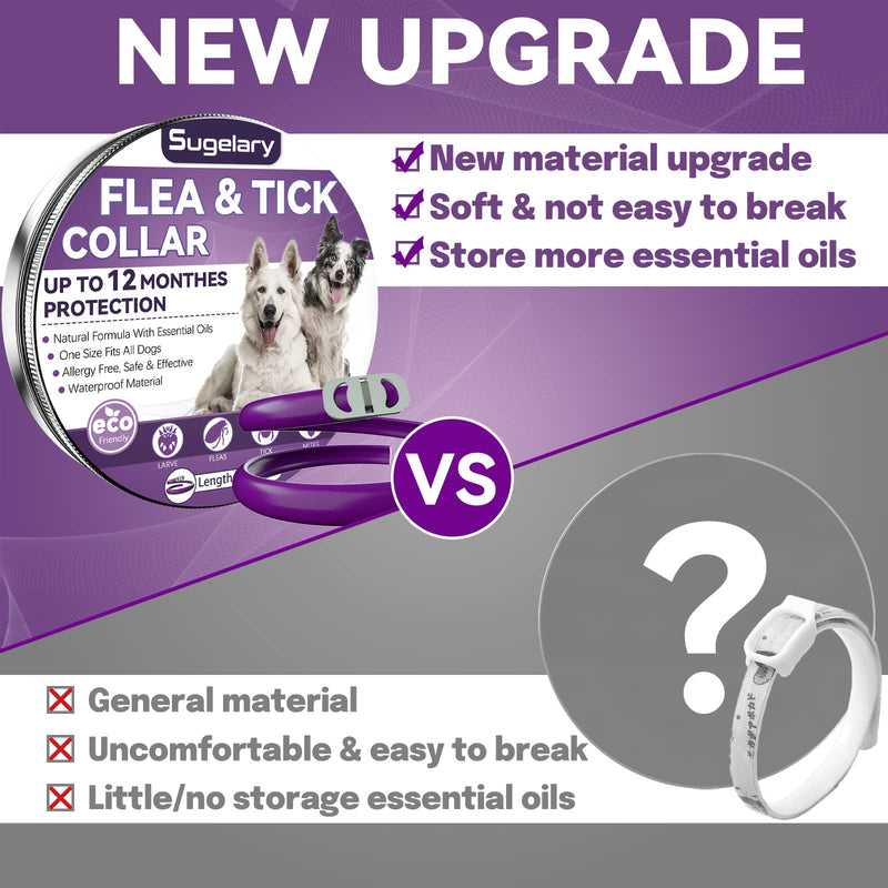 Sugelary Flea and Tick Collar for Dogs, 12 Months Protection Flea Treatment for Dogs Natural Adjustable Waterproof Dog Flea Collar Flea Treatment Collar for Small, Medium and Large Dogs (1Pack) Essential oil-1 - PawsPlanet Australia