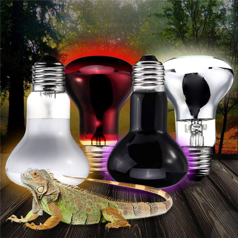 POFET 2pcs Reptile Heating Bulbs, Durable Infrared Heat Lamp Warming Light Bulb White Pet Light for Reptile and Amphibian Lizard Tortoise Spider Snake Chameleon 220-240V(75W) 75w - PawsPlanet Australia