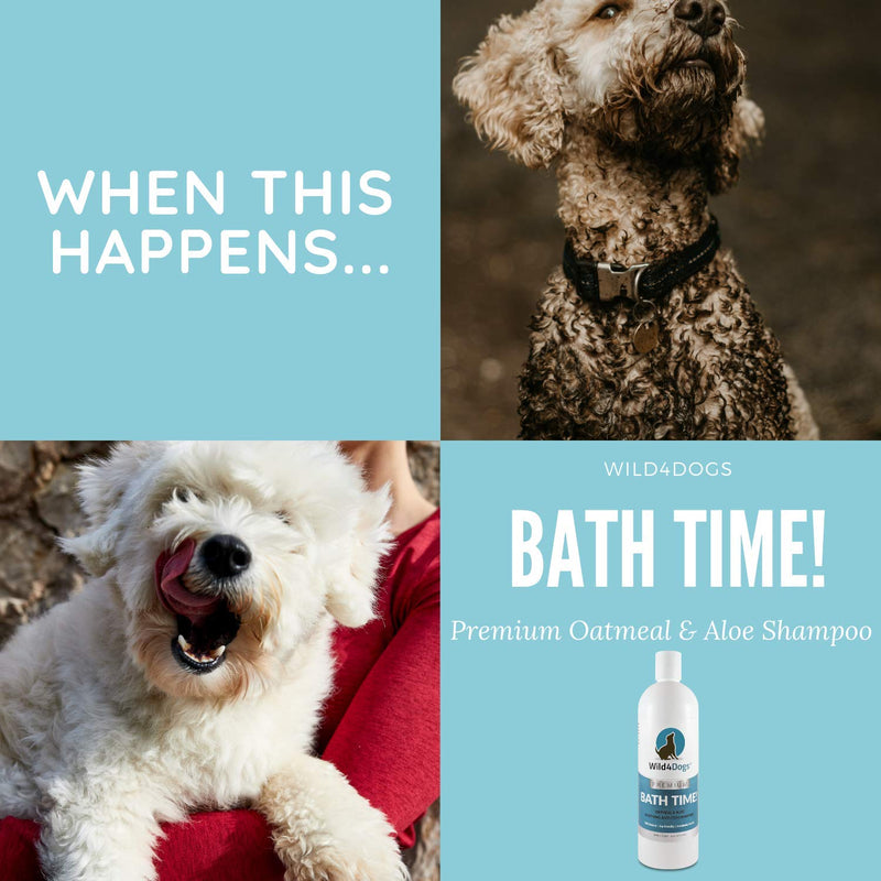 [Australia] - Wild 4 Dogs Premium Oatmeal & Aloe Shampoo for Dogs and Puppies - for a Fresh and Clean Dog - All Natural, No Harsh Chemicals, Relieves Dry Itchy Skin, Anti-Itch Shampoo 16 Ounce 