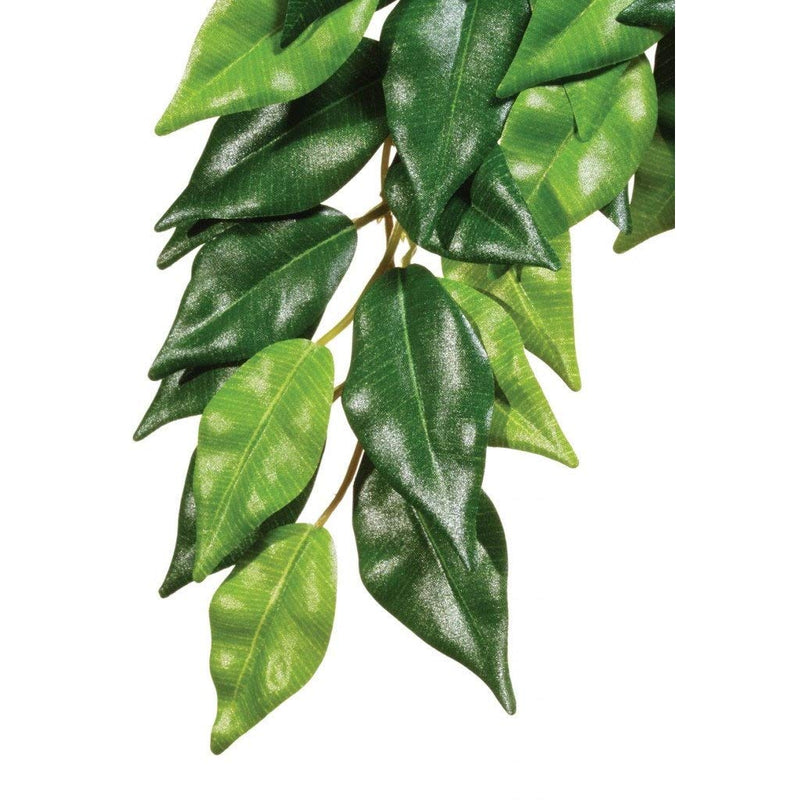 Exo Terra Silk Ficus Plant, Medium M - PawsPlanet Australia