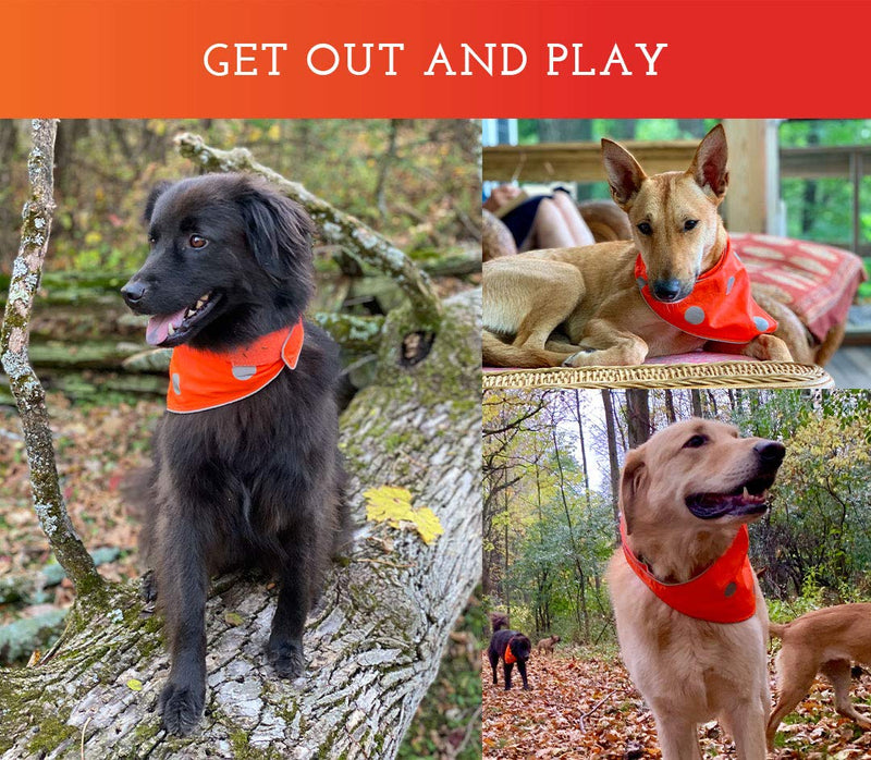 SPOT THE DOG! Reflective Bandana Bib Safety Apparel for All Dogs - Easy Fastening Closure, High Visibility Fluorescent Orange XS-S 9"-14.5" - PawsPlanet Australia