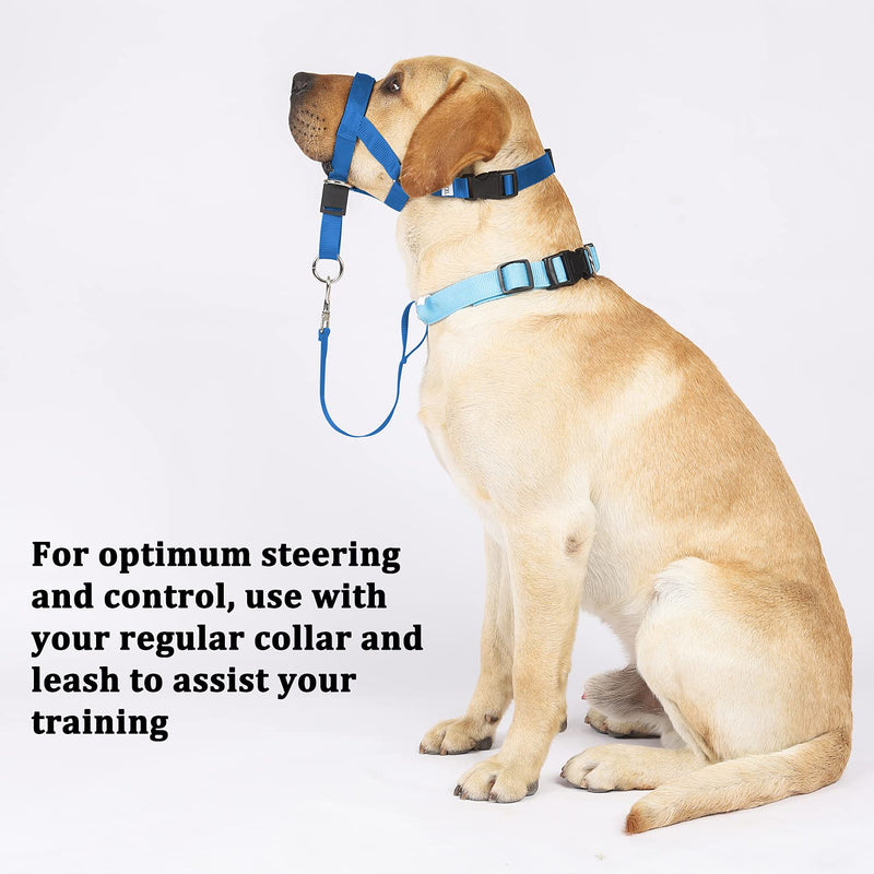 Head Collar for Dogs, No Pull Dog Head Halter with Soft Padding, Headcollar with Adjustable Buckle for Medium Large Dogs, Training Guide Included M (Snout: 7.1"-8.7") Blue - PawsPlanet Australia