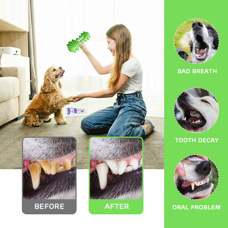 G TASTE Dog Chew Toys, Dog Toothbrush 2021 New Upgraded Doggy Teeth Cleaner Puppy Dental Care Dog Squeaky Toys Stick Natural Rubber for Dogs Tooth Brushing (green) Green - PawsPlanet Australia