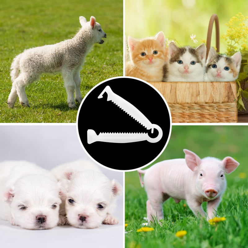 JJWNMLL 12 Pcs Umbilical Cord Clip Disposable Plastic Pig Umbilical Navel Cord Clamp for Pet Animals Piglet Lamb Goat Puppy Kitten Farm Ranch Whelping Kit - PawsPlanet Australia