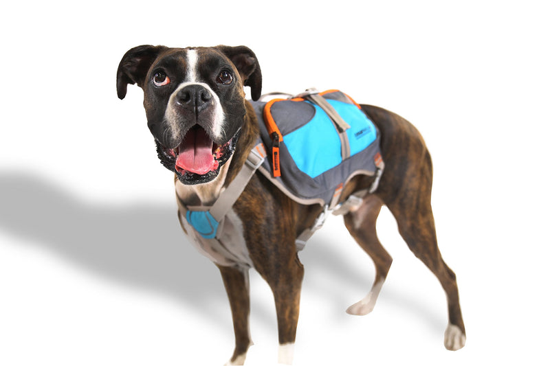 Cesar Millan Dog Backpack (Small, Blue) Small - PawsPlanet Australia