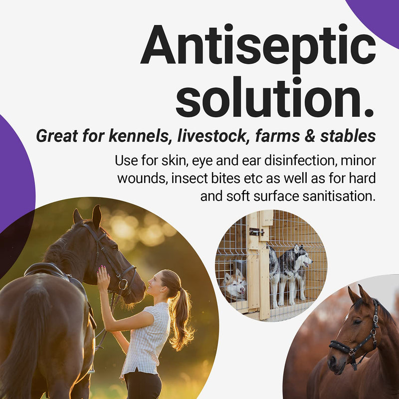 RenaSan Antiseptic Solution (5 Litre)  Alcohol-Free Antiseptic Wound and Skin Care for Animals, Dogs, Cats, Equine, Avian, Reptile - PawsPlanet Australia