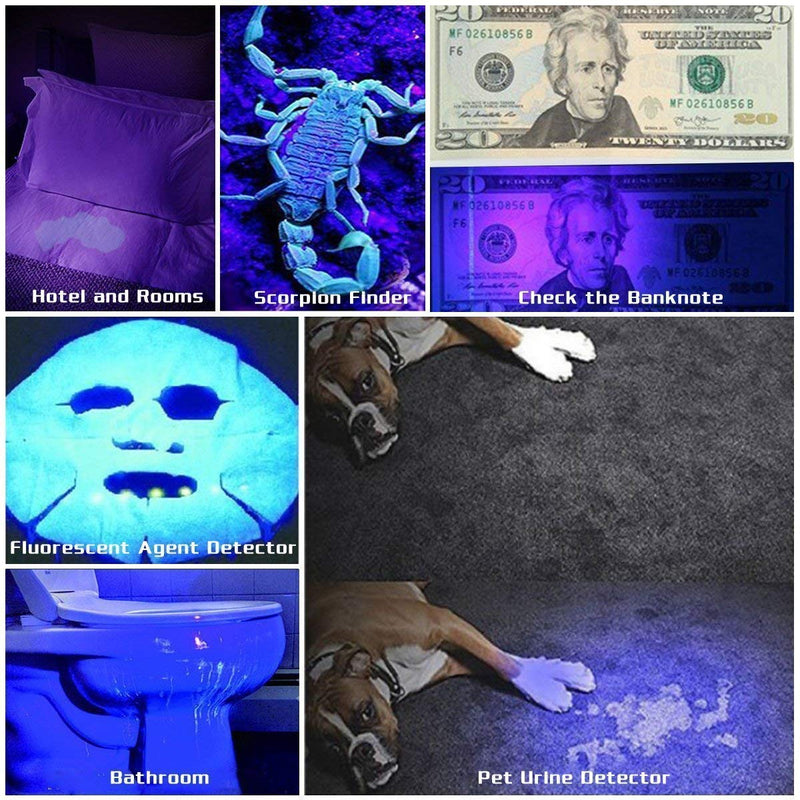 [Australia] - Black Light UV Flashlights with UV Protective Glasses, 100 LED 395 NM Ultraviolet Blacklight Detector for Home Hotel Dogs Cat Pet Urine Dry Stains Bed bug Mold Counterfeit Money Leak Passport Cosmetic Black light 100Leds 