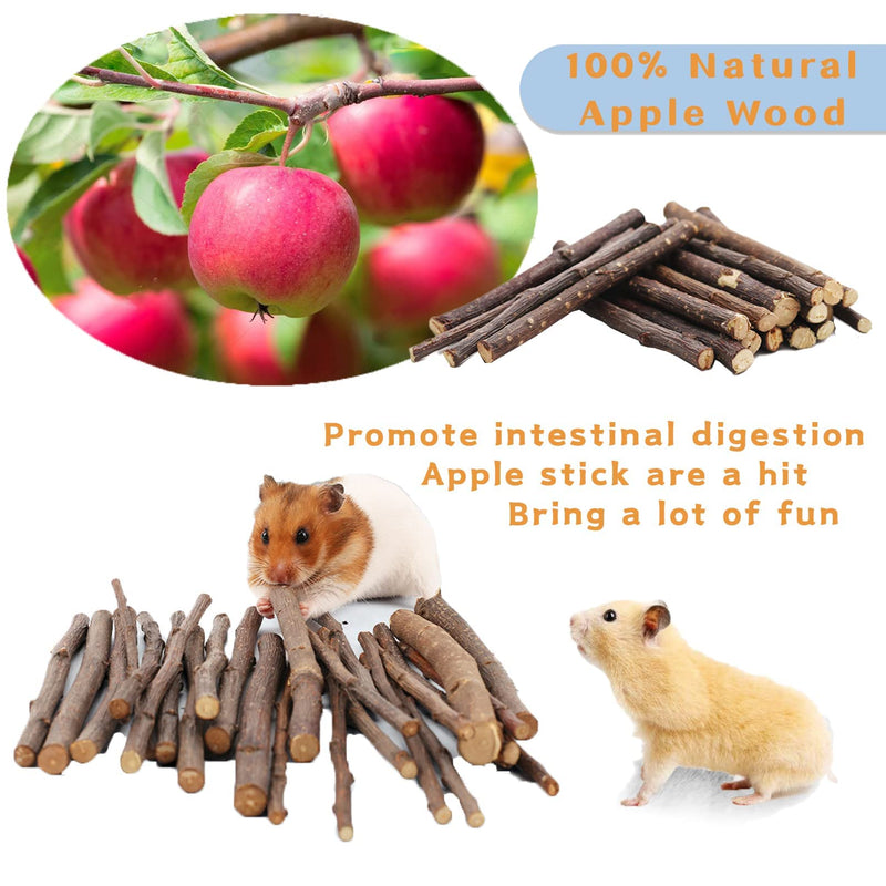 kathson Hamster Chew Toys Guinea Pig Toys Dwarf Hamster Natural Wooden Toys and Accessories for Cage Rat Teeth Care Molar for Small Animal Syrian Hamster 9 Pack - PawsPlanet Australia