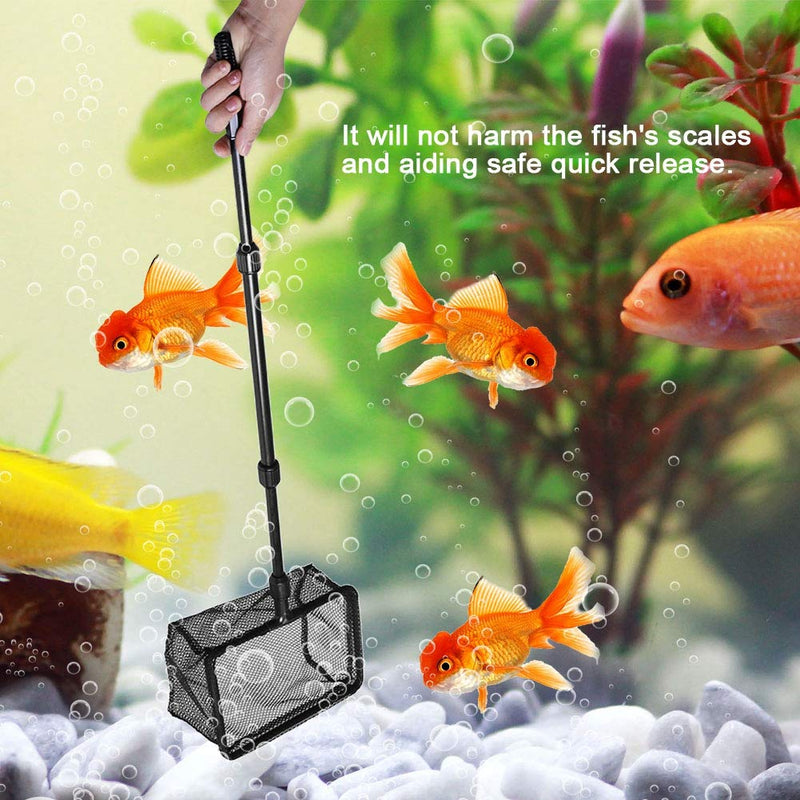 [Australia] - Yutiny Aquarium Fishing Net Retractable Fishing Net Square Fish Shrimp Net Fish Tank Fish Landing Net for Fish Catch and Release M 