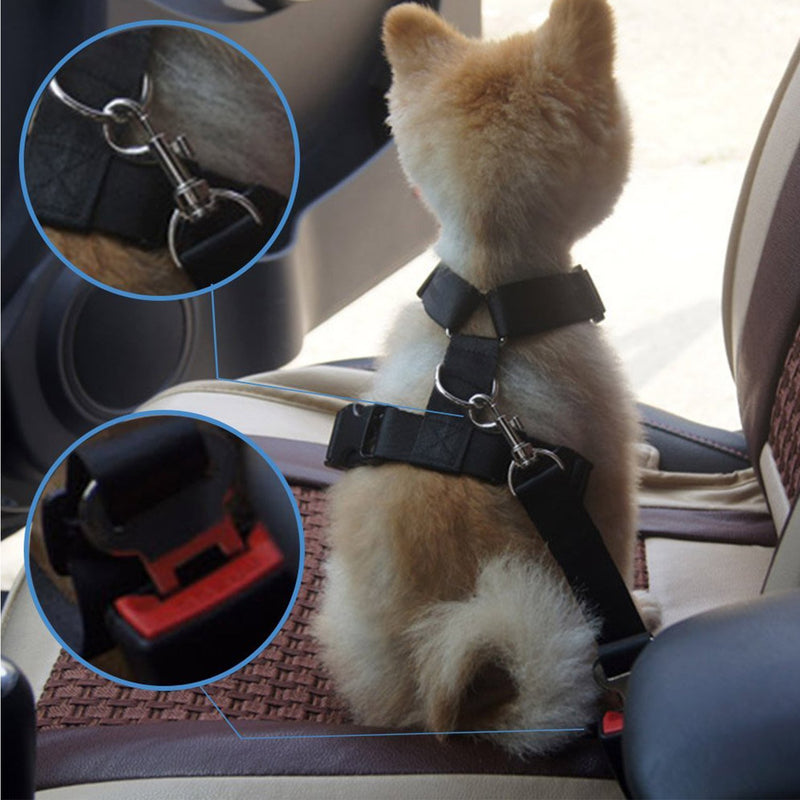 Top Munster 2 Pcs Car Vehicle Adjustable Pet Dog Cat Safety Leash Leads Seat Belts Nylon Harness Seatbelt Set Black - PawsPlanet Australia