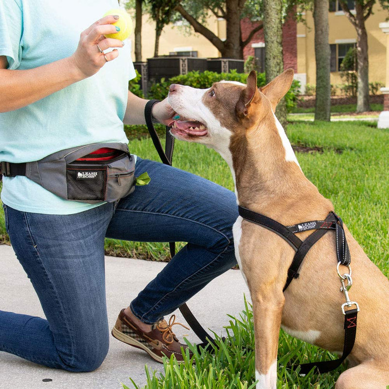 [Australia] - Leashboss PackUp Pouch Dog Treat Training Waist Belt, Storage Fanny Pack, and Poop Bag Dispenser Grey 