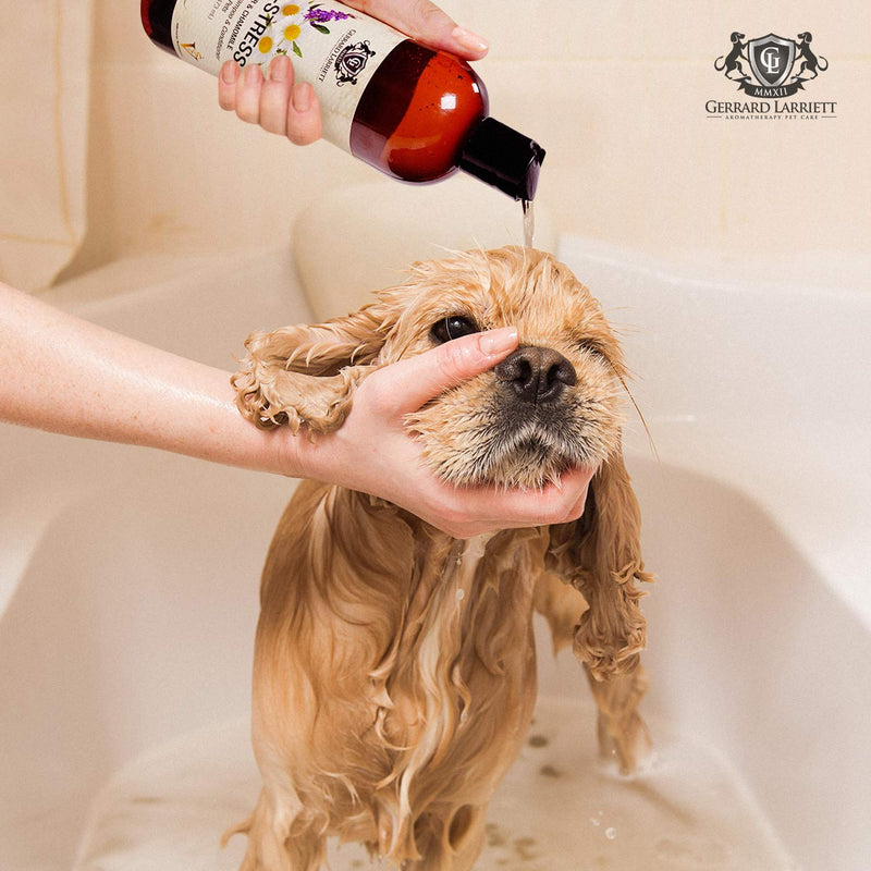 [Australia] - Aromatherapy Shampoo & Conditioner for Pets Dog Shampoo, Medicated Oatmeal Dog Shampoo & Pet Odor Eliminator Lavender & Chamomile 