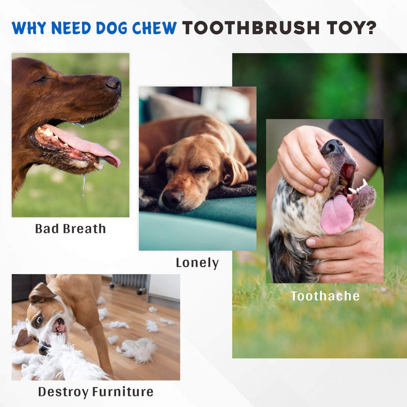 [Australia] - UUN Dog Chew Toys, Durable Dog Toothbrush Squeaky Toys，Almost Indestructible Teeth Cleaning Brushing Stick Dental Oral Care for Aggressive Chewers Large Medium Breed Blue 