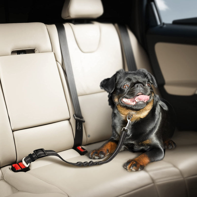 Seat Belt for Dogs with Elastic Bungee Buffer | Car Travel Accessories for Dogs Adjustible, Elastic Black - PawsPlanet Australia