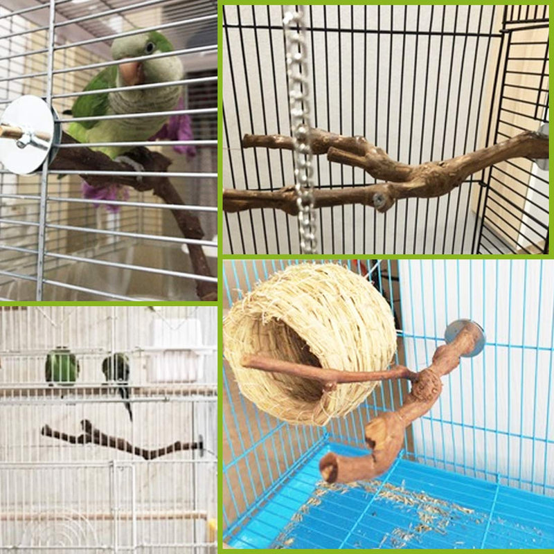 PINVNBY Bird Perch Stand,Parrot Perches,Natural Birdcages Standing Climbing Paw Grinding Wood Branch Stick Cage Accessories Toys for Parakeet Lovebirds Budgies Cockatiels Finches Types-A - PawsPlanet Australia
