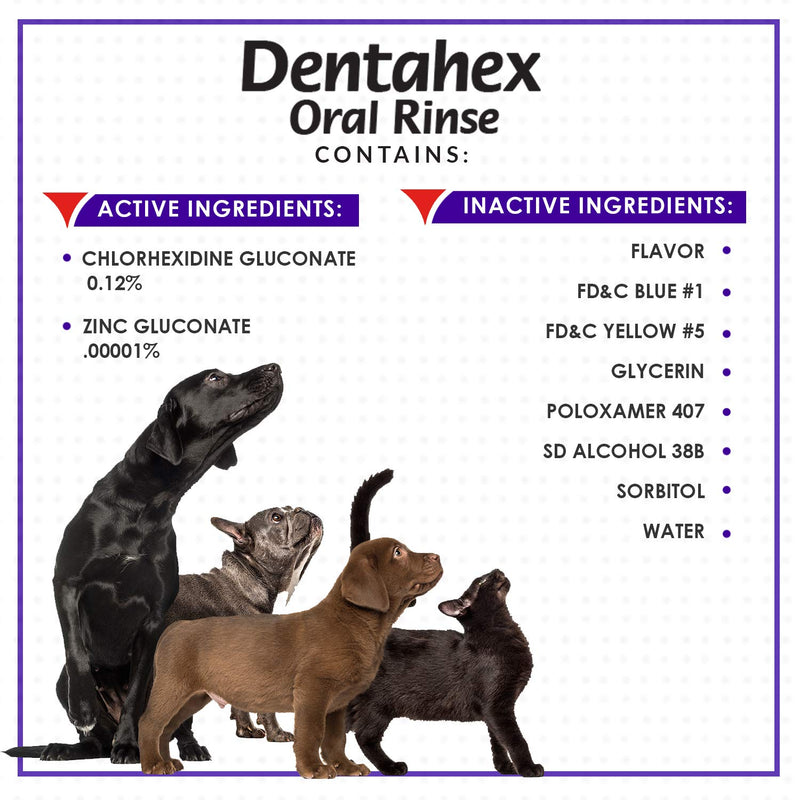 Vetoquinol Dentahex Pet Oral Hygiene Rinse, 8oz - PawsPlanet Australia