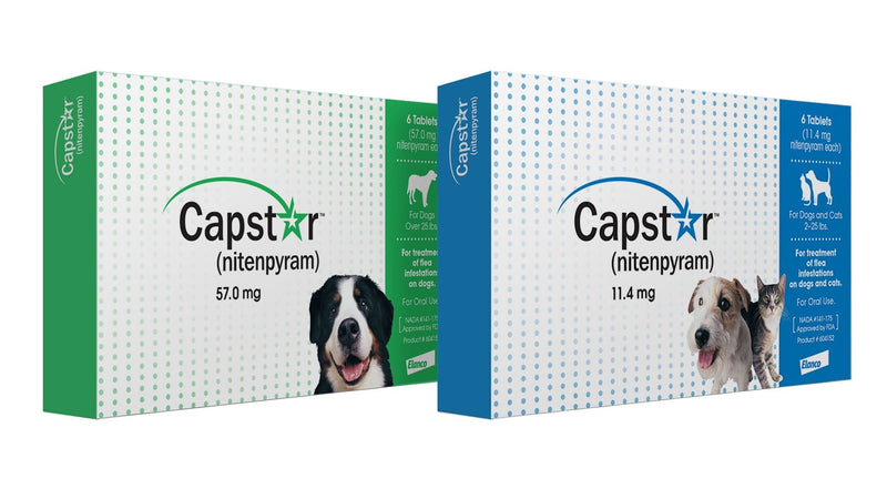 Capstar Flea Treatment Tablet for Medium and Large Dogs 6 Pack green - PawsPlanet Australia