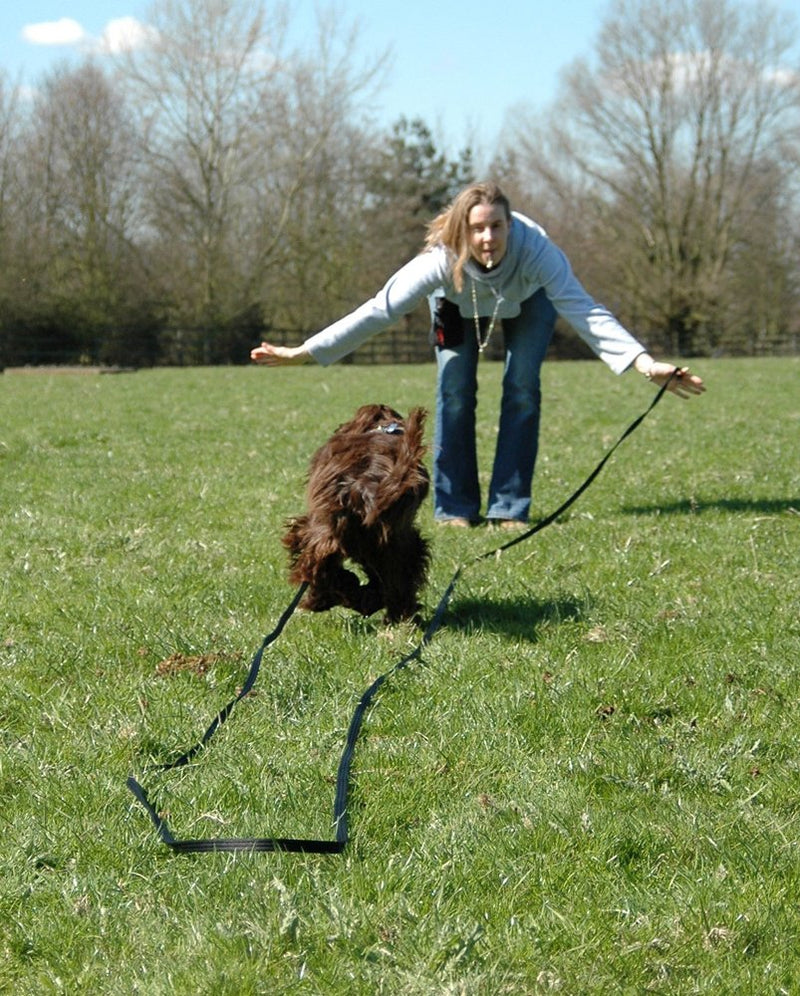 The Company of Animals Professional Adjustable Pitch Whistle - PawsPlanet Australia