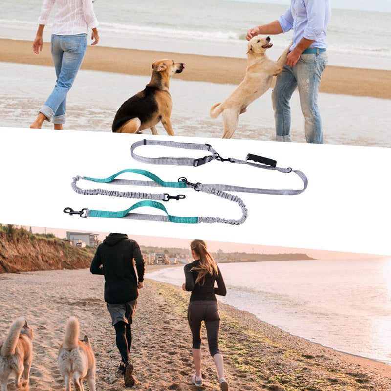 [Australia] - Alsol Lamesa Dual Dog Leash, Double Dog Leash, 360 Swivel No Tangle Double Dog Walking Training Leash, Comfortable Shock Absorbing Reflective Bungee for Two Dogs, Black, Medium Large Dog Dark Green with Waste Bag 