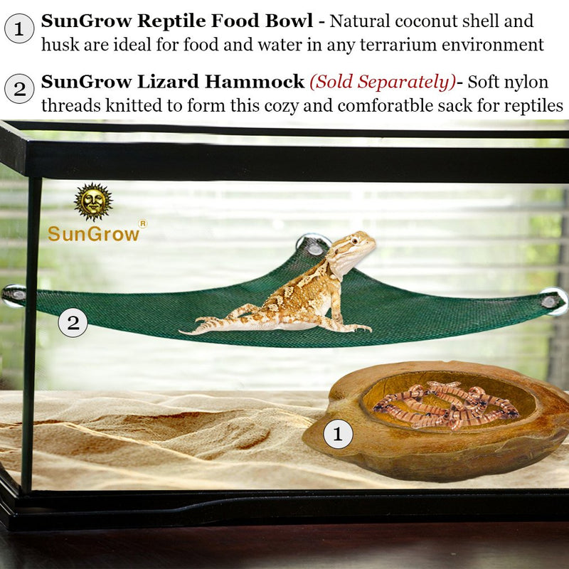 [Australia] - SunGrow Reptile Food Bowl, 4.5x5.5 Inches, Unbreakable Half Coconut Shell with Husk, Tank Décor and Humidifier for Bearded Dragons, Tortoise, Snakes, Bullfrogs 