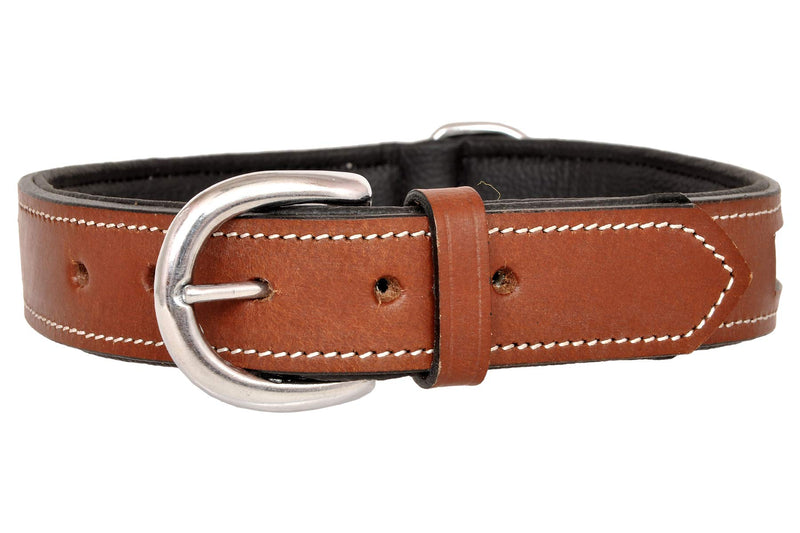 Wonder Wish Brown Padded Leather Dog Collar for Small,Medium and Large Breed Dogs(Large) - PawsPlanet Australia