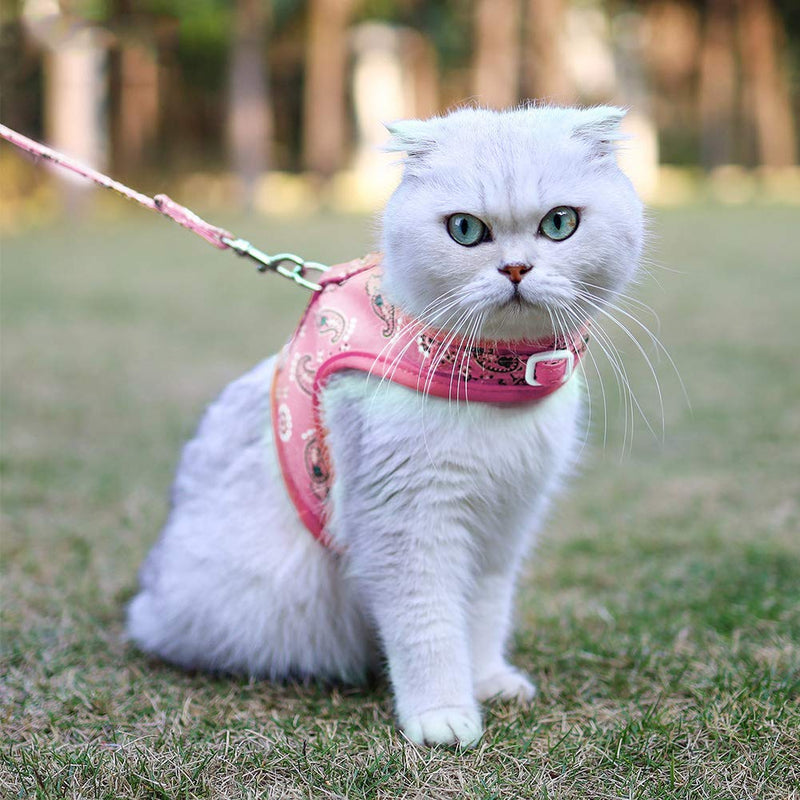 Cat Harness and Lead Set Escape Proof, Adjustable Soft Leash, Medium Large Cat, Safety Cat Walking Jacket, Best for Cat Kitten Training Walking - Pink, M - PawsPlanet Australia