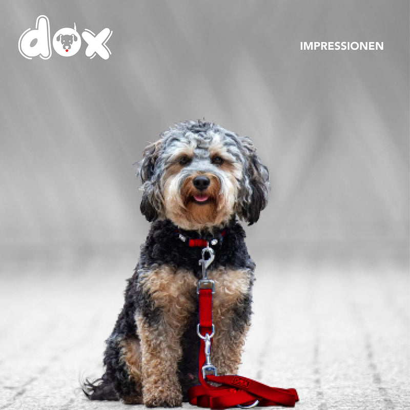 DDOXX dog leash Air Mesh, 3-way adjustable, 2m | for small & large dogs | Double Leash Two Dog Cat Puppy | Towing leash large | Lead leash small | Running leash puppy leash | Red, XS XS - 1.5 x 200 cm - PawsPlanet Australia