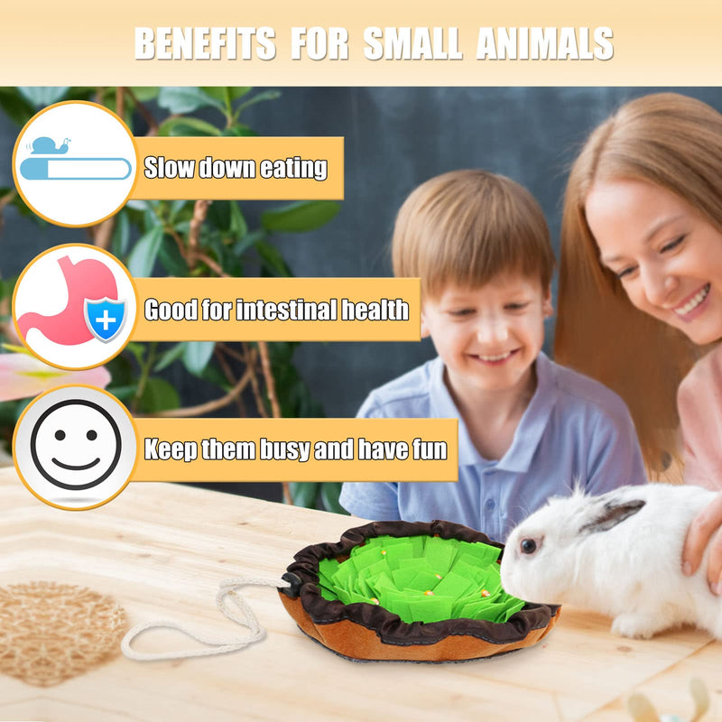 AKLHLKK Pet Rabbit Foraging Mat, Guinea Pig Snuffle Mat Small Animal Puzzle Toys Machine Washable Polar Fleece Feeding Pad Treat Dispenser for Bunny Hamster Ferrets Chinchillas Rat Gerbil… - PawsPlanet Australia