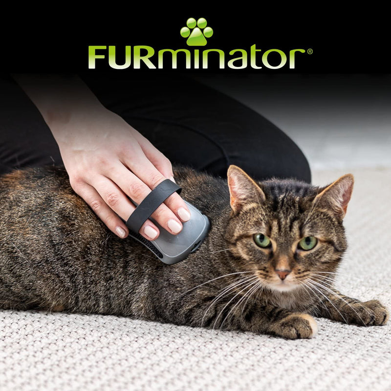 FURminator curry comb for dogs and cats - grooming brush gently massages the skin - for clean, shiny fur, color: gray - PawsPlanet Australia