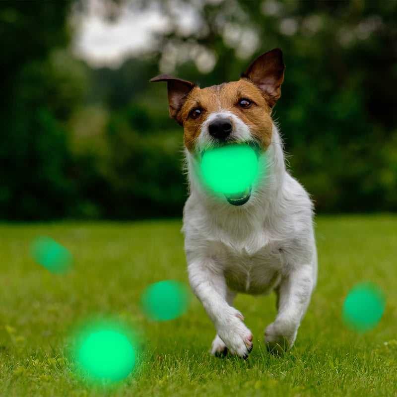 4 Pieces Light Dog Ball Glow in The Dark Rubber Dog Fetch Toy Balls for Large and Small Dogs, with 21 LED UV Flashlight for Nice Glowing Effect in Night - PawsPlanet Australia