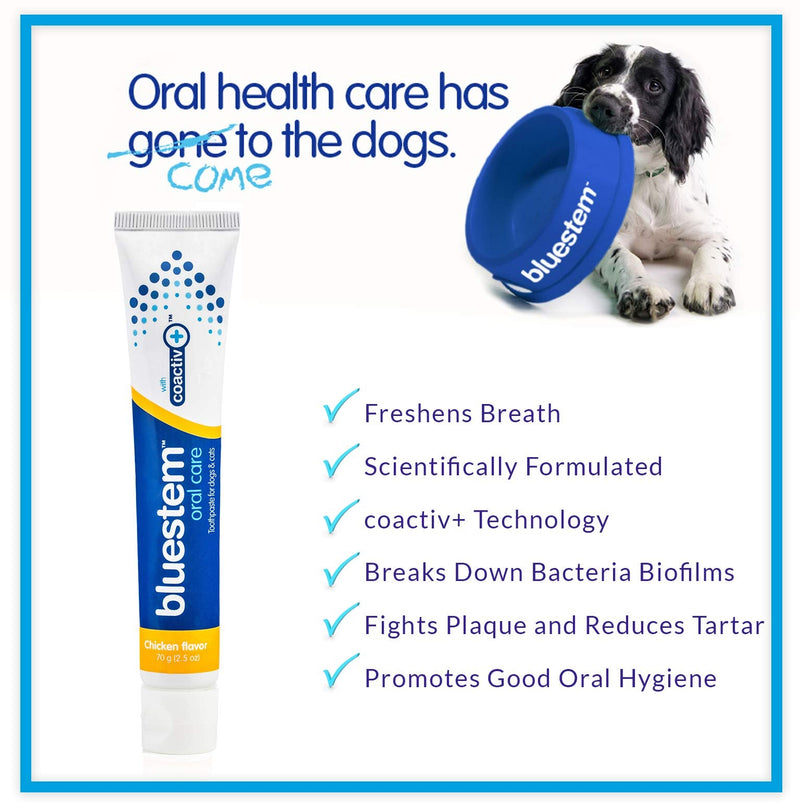 Dog Toothpaste : Dog & Cat Dental Care Tooth Paste Promotes Fresh Breath Teeth Brushing Cleaner Pet Breath Freshener Oral Care Dental Cleaning Kit. Tartar & Plaque Remover Toothbrush Chicken Flavor - PawsPlanet Australia