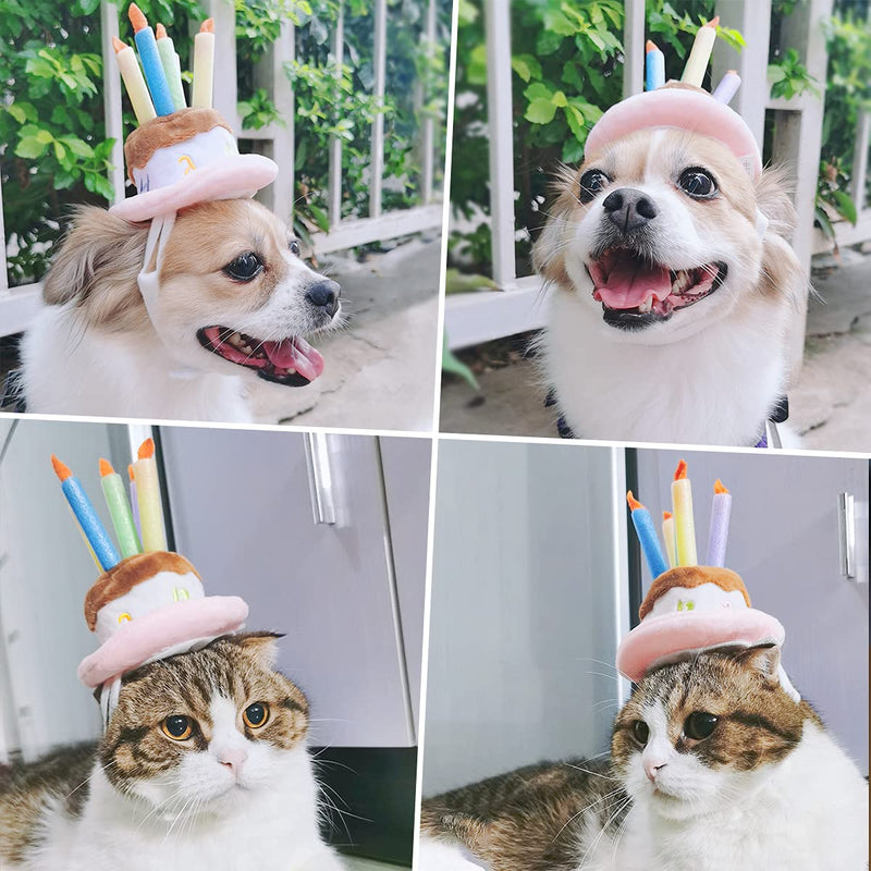 Namsan Cat Birthday Hat Small Dog Birthday Cake Hat Dog Birthday Party Supplies, Small - PawsPlanet Australia