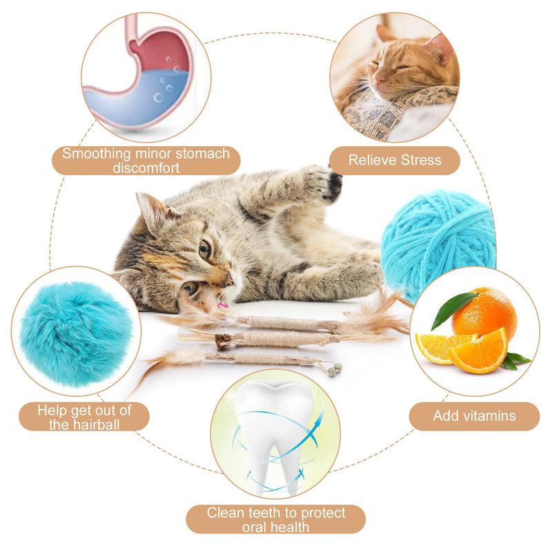 FRIUSATE Pack of 6 catnip sticks, 15 Matatabi cat chewing sticks, cat dental care toys, chewing sticks for cats, Silvervine sticks for cat dental care and against bad breath - PawsPlanet Australia