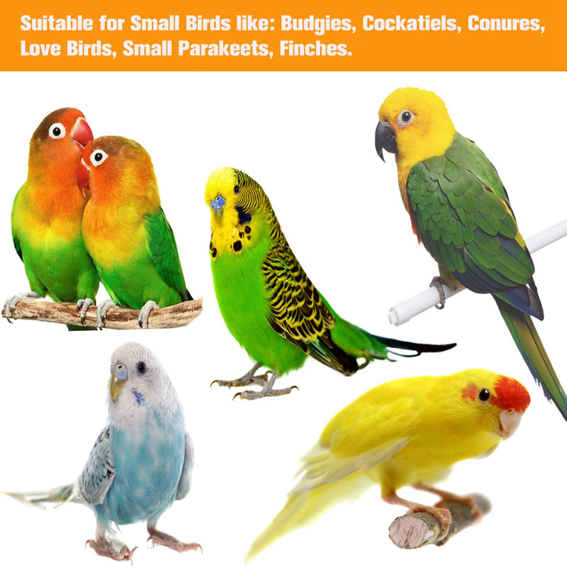 Inscape Data 8 Pack Bird Parrot Toys, Bird Swing Chewing Toys Perch Stand Hanging Bell Mirror Climbing Ladders Bird Cage Toys for Small Parakeets, Cockatiels, Budgies, Conures, Love Birds, Finches - PawsPlanet Australia