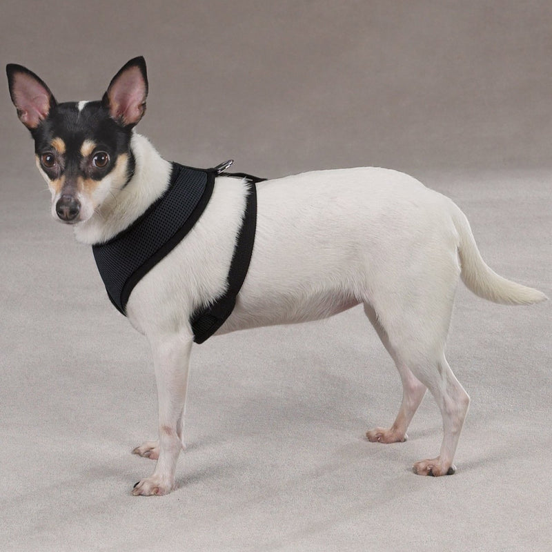 [Australia] - Casual Canine Mesh Dog Harness s Black 