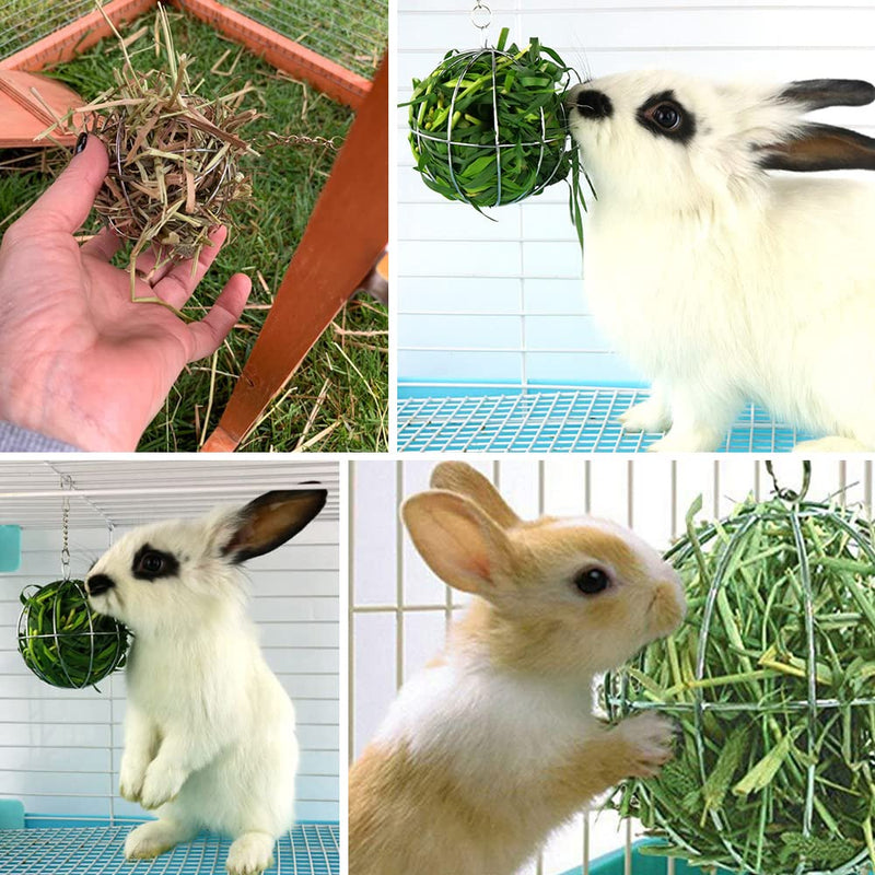2 Pieces Rabbit Hay Feeder Rabbit Hay Ball Stainless Rabbit Grass Ball Pet Hay Rack Bowl Accessories for Guinea Pig Small Animal Pet - PawsPlanet Australia