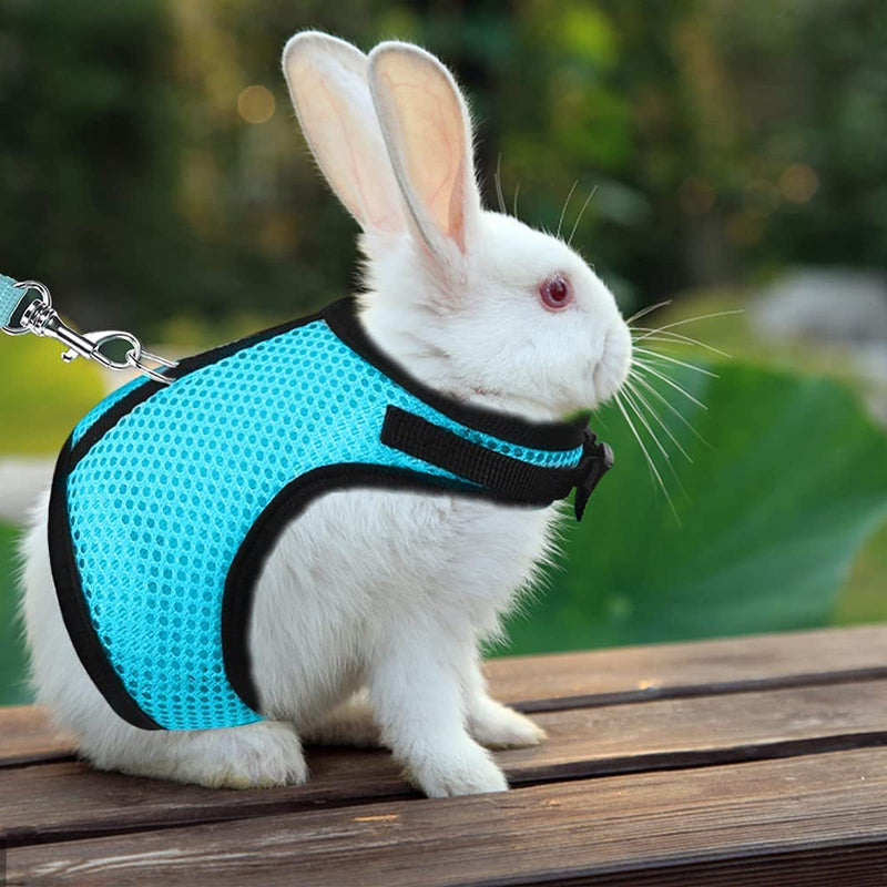 Pack of 2 Adjustable Soft Rabbit Harness, Breathable Rabbit Harness, Mesh Rabbit Harness, for Small Animal Rabbit Hamster Cat Outdoor (M, Blue, Pink) - PawsPlanet Australia