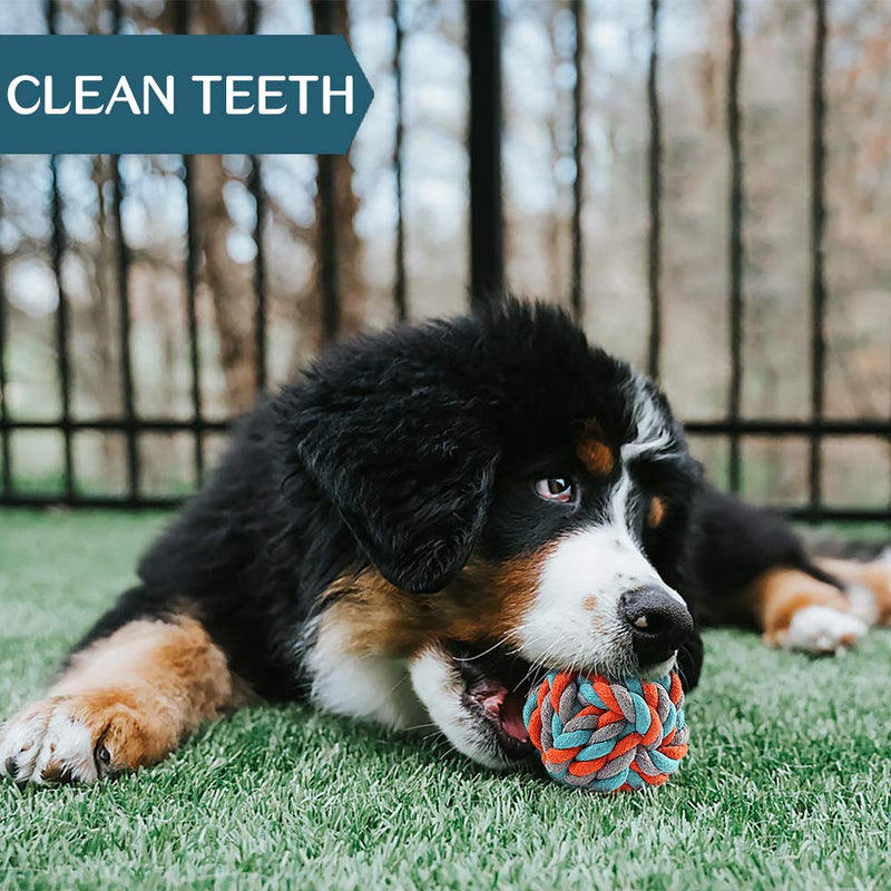 SYEENIFY Puppy Toys for Small Dogs,7 Pack Teething Toys for Puppies,Cute Pig Toys for Small Dogs,Durable Chew Toys for Puppies,100% Natural Cotton Rope Chew Toys, Safe, Non-Toxic Style B - PawsPlanet Australia