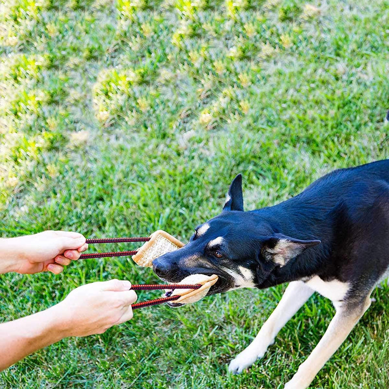 Dog Bite Tug Toy, Interactive Toy for Dogs, 2 Handles, Extra Tough, Durable, Interactive Toys For Medium to Large Dogs, Chew toys Best For Tug of War, Fetch and Puppy Training - PawsPlanet Australia