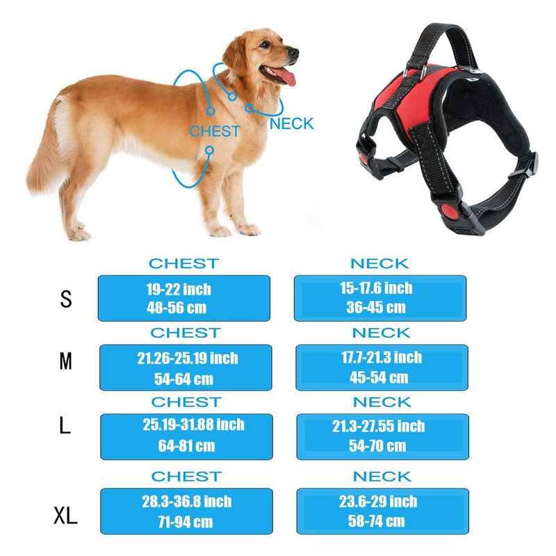 [Australia] - Jxinrong Dog Leash Harness Adjustable & Durable Leash Set & Heavy Duty Denim Dog Leash Collar for Small, Medium and Large Dog, Perfect for Daily Training Walking Running Black 