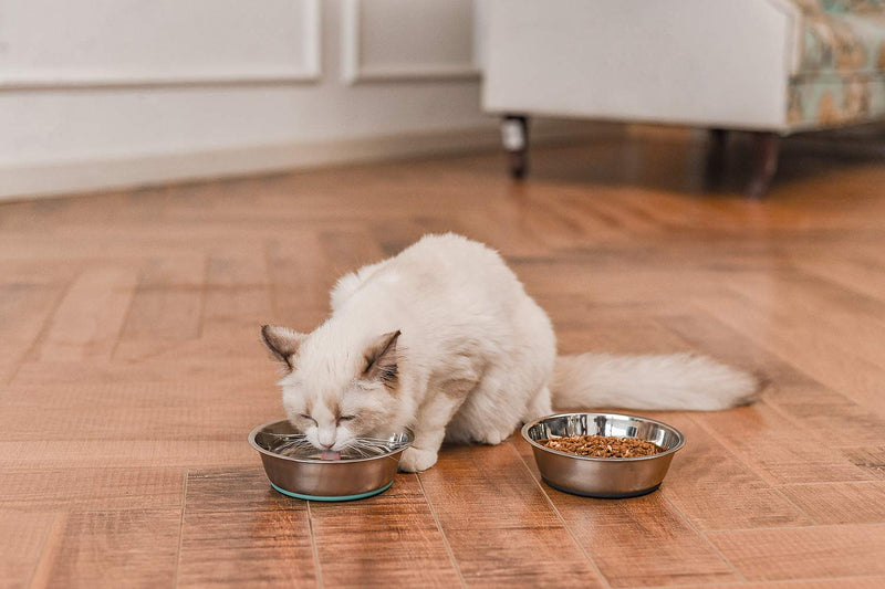 PEGGY11 Light Non-Slip Stainless Steel Dog cat Bowl 1.8 Cups 2-Pack Blue & Grey - PawsPlanet Australia