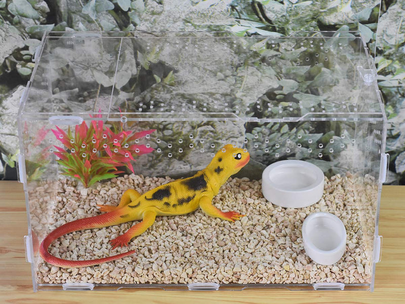 [Australia] - OMEM Worm Dish Mini Reptile Food Bowl Ceramics Made S 