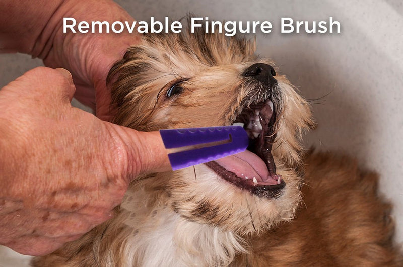 Hertzko Triple Headed Tooth Brush Multi-Head Brush Gets to All Sides of The Tooth at Once! - Removable Finger Brush Gives You Great Control - Suitable for Small and Large Dogs and Cats - PawsPlanet Australia